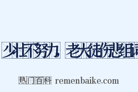 少壮不努力，老大徒伤悲组词是什么意思的图片